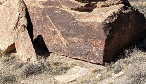 A large, textured rock sits on dry ground, surrounded by sparse grass and soil.