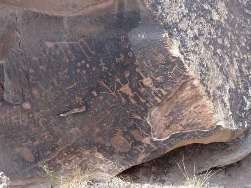 Petroglyphs carved into a large rock surface, depicting various symbols and figures in a natural setting.