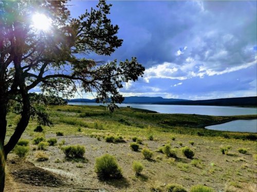 A serene landscape featuring a lake, grassy shore, and a tree, with sunlight filtering through clouds.