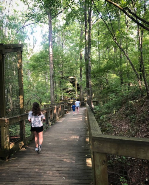 A wooden walkway through a lush green forest, with people walking in the distance.