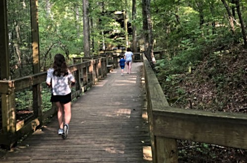 A wooden walkway through a lush green forest, with two people walking ahead and one person behind.