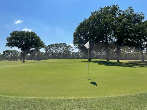 A sunny golf course with a green expanse, a flag on the putting green, and trees in the background.
