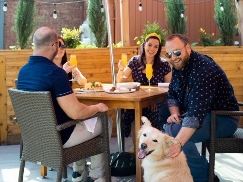 A group of four friends enjoying brunch outdoors with a golden retriever at their table.