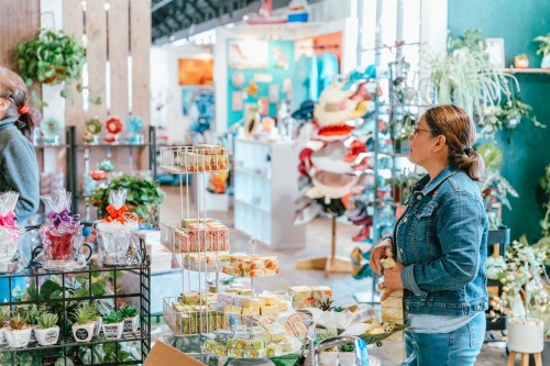 A woman browses a colorful shop filled with plants, gifts, and decorative items.