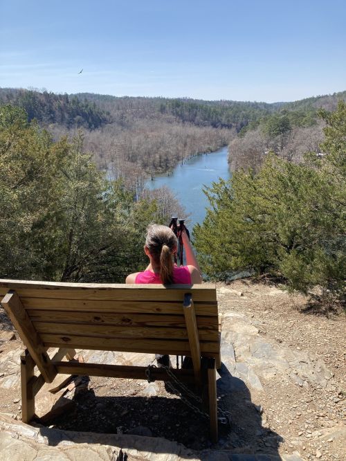 A person sits on a wooden bench overlooking a river surrounded by trees on a sunny day.