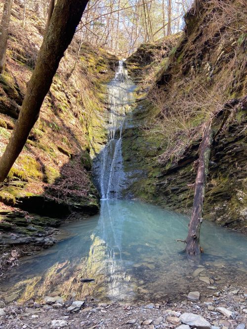 A serene waterfall cascades down a mossy rock face into a clear pool, surrounded by trees and earthy terrain.