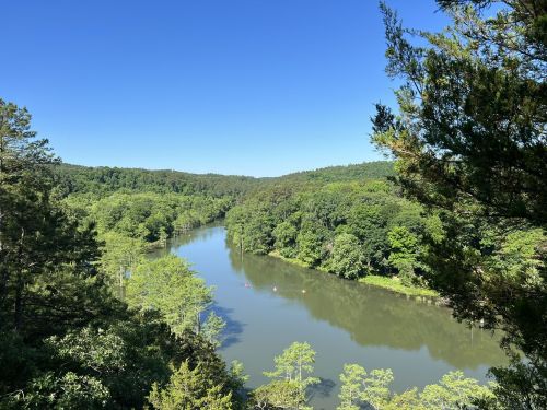A serene river winds through lush green trees under a clear blue sky, with kayakers visible on the water.