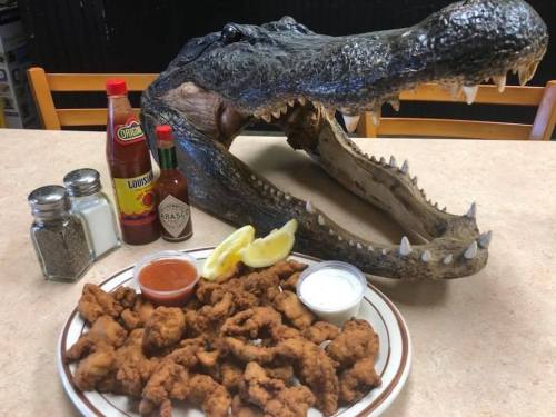 A plate of fried chicken with sauces and lemon slices, next to a large alligator head on a table.