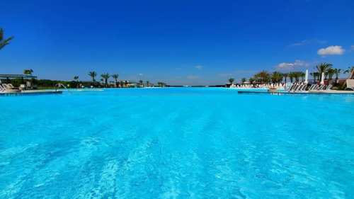 A serene pool with bright blue water, surrounded by palm trees and lounge chairs under a clear blue sky.
