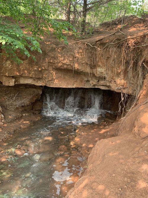 A small waterfall flows under a rocky overhang, surrounded by trees and earthy soil.