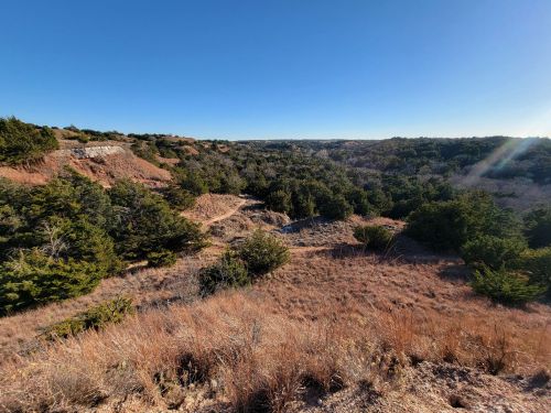 A panoramic view of a hilly landscape with sparse trees and dry grass under a clear blue sky.
