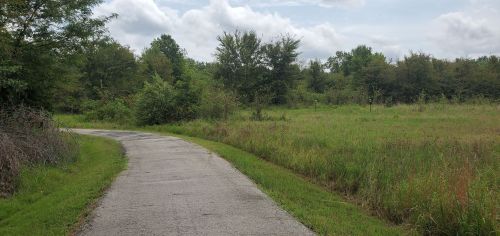 A winding path through a grassy area, surrounded by trees and under a cloudy sky.
