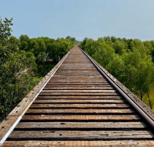 A wooden railway bridge stretches into the distance, surrounded by lush greenery under a clear sky.