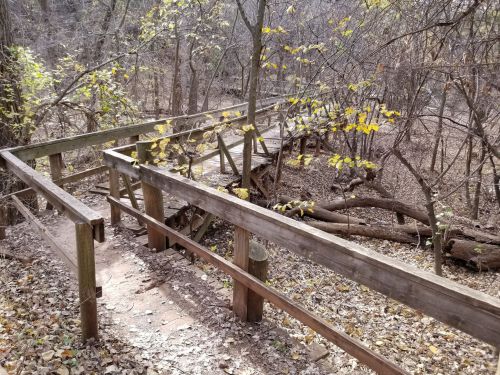 A wooden bridge surrounded by trees and fallen leaves, leading through a quiet, wooded area.