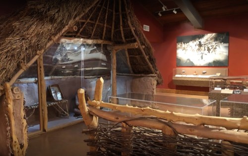 Interior of a museum exhibit featuring a traditional thatched hut and artifacts displayed in glass cases.