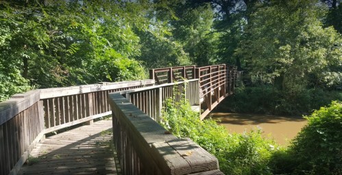 A wooden bridge curves over a creek, surrounded by lush greenery and trees on a sunny day.
