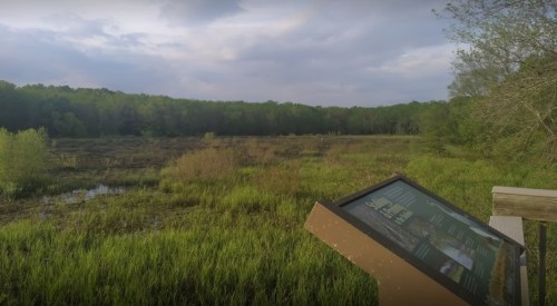 A scenic view of a wetland with lush greenery and a signboard in the foreground, under a cloudy sky.