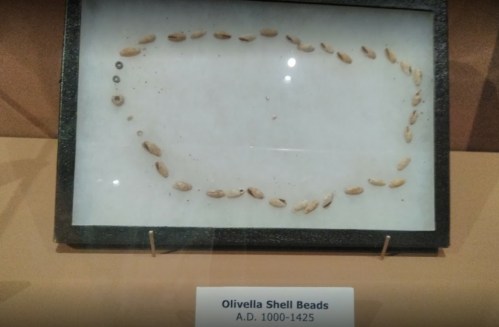 Display of Olivella shell beads arranged in an oval shape, dated A.D. 1000-1425.