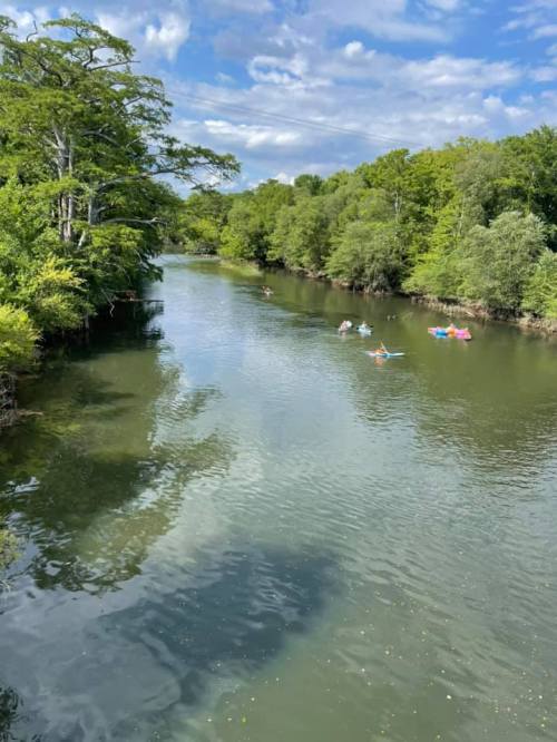 A serene river surrounded by lush greenery, with people kayaking on the water under a blue sky.