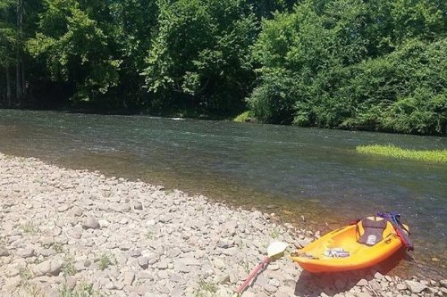 An orange kayak rests on a rocky shore beside a calm river, surrounded by lush green trees.