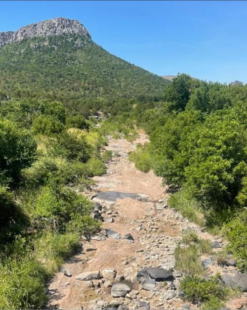 A rocky path winds through lush greenery, leading towards a mountain under a clear blue sky.