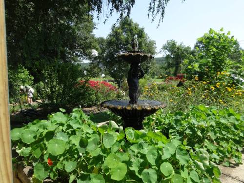 A garden scene featuring a black fountain surrounded by lush greenery and colorful flowers under a clear blue sky.