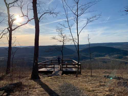 A person and a dog stand on a wooden overlook, gazing at a scenic valley under a clear sky.