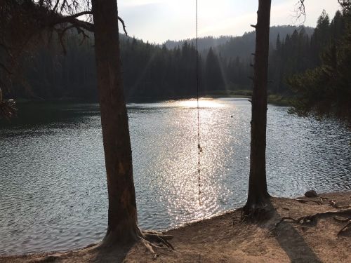 A serene lake surrounded by trees, with sunlight reflecting on the water and a swing hanging from a tree.