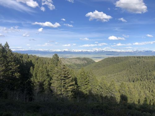 A panoramic view of lush green forests and distant snow-capped mountains under a blue sky with fluffy clouds.