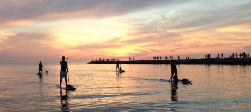 Silhouettes of people paddleboarding at sunset, with a colorful sky and a distant crowd on the shore.