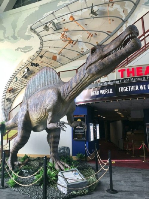 A life-sized Spinosaurus dinosaur model displayed in a museum entrance, with a theater sign in the background.
