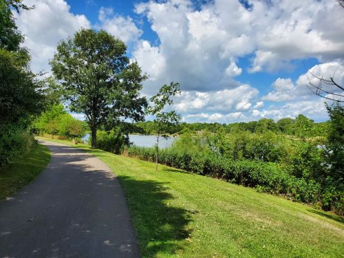 A scenic pathway alongside a river, surrounded by lush greenery and a bright blue sky with fluffy clouds.