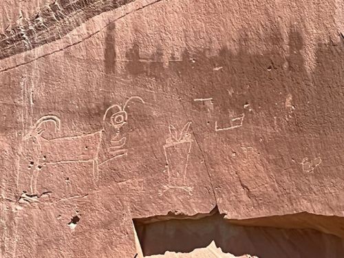 Petroglyphs on rock surface depicting a stylized animal and a plant-like figure.