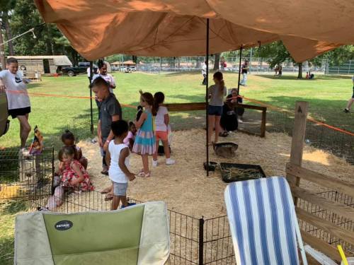 Children interacting with animals in a shaded area at a park, with straw on the ground and adults nearby.
