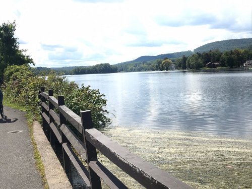 A serene lakeside view with a wooden fence, lush greenery, and distant hills under a partly cloudy sky.