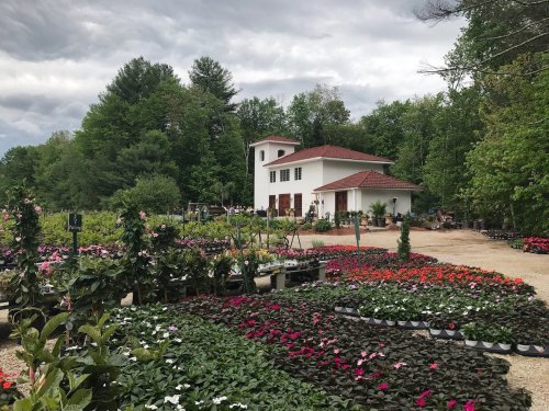 A garden center with colorful flower beds and a white building surrounded by trees under a cloudy sky.