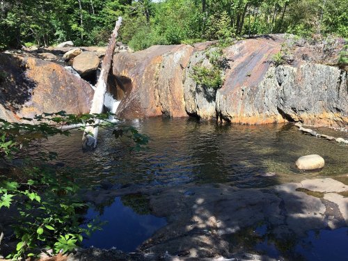 A serene natural scene featuring a rocky landscape with a small pool of water surrounded by trees and greenery.