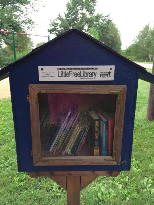 A blue Little Free Library filled with books, located in a grassy area near a playground.