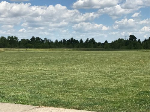 A wide, grassy field under a blue sky with fluffy clouds and trees in the background.