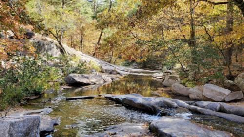 A serene stream flows through a forest with autumn foliage, surrounded by rocks and trees in warm colors.