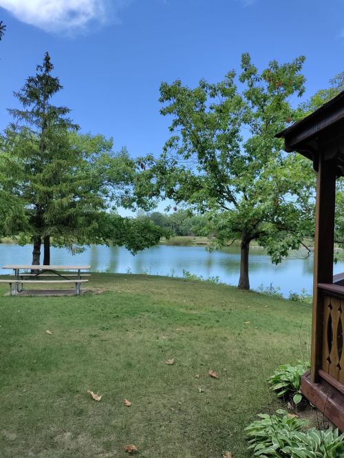 A serene lakeside view with green trees, a picnic table, and a clear blue sky reflecting on the water.