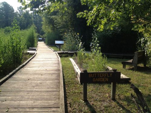 A wooden path leads through a lush garden with a sign reading "Butterfly Garden" amidst greenery and benches.