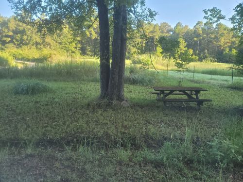 A peaceful outdoor scene featuring a picnic table under two trees, surrounded by tall grass and a serene landscape.