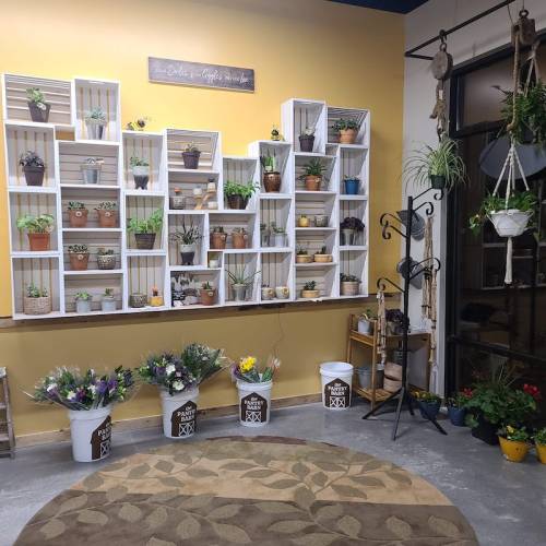 A cozy indoor space featuring a wall of potted plants, flowers in buckets, and a decorative rug on the floor.