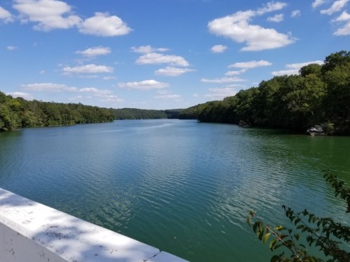 A serene lake surrounded by lush green trees under a blue sky with fluffy white clouds.