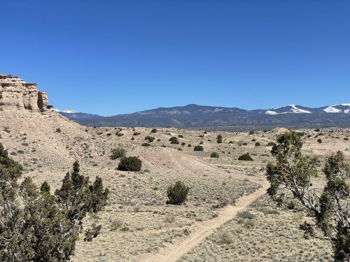 A vast desert landscape with low hills, sparse vegetation, and distant snow-capped mountains under a clear blue sky.