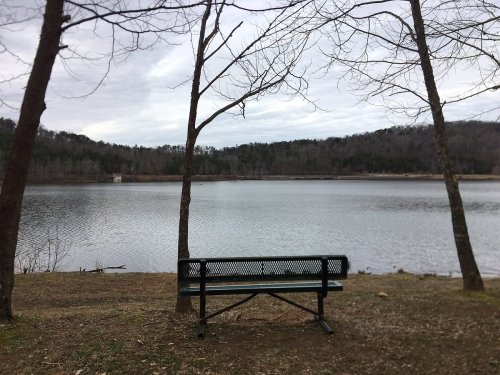 A serene lake view with a bench in the foreground, surrounded by trees and a cloudy sky.