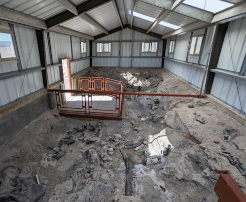 Interior of a large building with a fenced area, showcasing a sandy floor with scattered rocks and fossils.