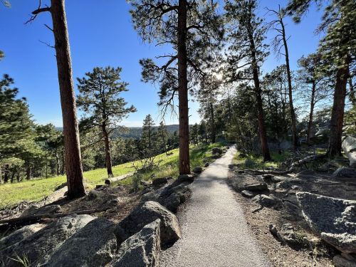 A scenic trail winds through a forest of tall pine trees and rocky terrain under a clear blue sky.