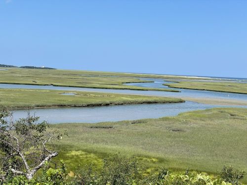 A serene landscape of winding waterways through lush green marshlands under a clear blue sky.